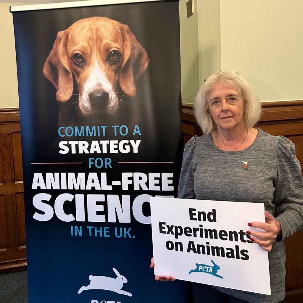 We are a nation of animal lovers and <a href="/UKLabour/">The Labour Party</a> is the party of animal welfare. That is why we are working with scientists to phase out animal testing <a href="/peta/">PETA</a>