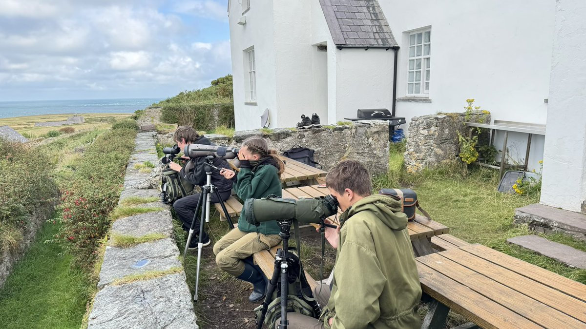 Welsh Ornithological Society 🏴 (@birdsinwales) on Twitter photo 📣 Diweddariad Cynhadledd! Bydd raffl y Gynhadledd eleni yn cynnig dwy brif wobr ANHYGOEL! Gwaith gwydr Alarch Dof wedi ei greu a’i roi gan <a href="/fidhw/">Dr. Rachel C. Taylor (commissions available)</a> ac wythnos am ddim ar Ynys Enlli diolch i <a href="/bardseyobs/">🇺🇦🕊 Bardsey Lodge & Bird Obs</a> 😍😍
birdsin.wales/last-ten-days-… 📣 Diweddariad Cynhadledd! Bydd raffl y Gynhadledd eleni yn cynnig dwy brif wobr ANHYGOEL! Gwaith gwydr Alarch Dof wedi ei greu a’i roi gan <a href="/fidhw/">Dr. Rachel C. Taylor (commissions available)</a> ac wythnos am ddim ar Ynys Enlli diolch i <a href="/bardseyobs/">🇺🇦🕊 Bardsey Lodge & Bird Obs</a> 😍😍
birdsin.wales/last-ten-days-…
