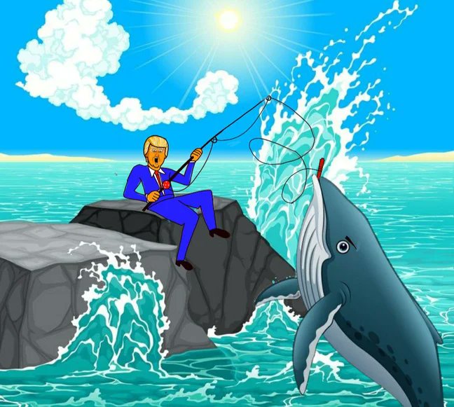 TrumpWNH's tweet photo. Whales are coming in! https://t.co/ESNy0S2XFq