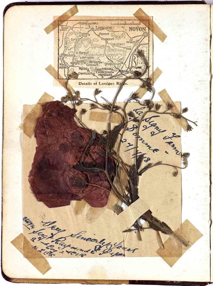 A pressed poppy from the Somme, 1918 - a poignant memento in an autograph book owned by VAD nurse Ursula Lascelles [ZGC]  #Armistice #PoppyDay  #LestWeForget #Armistice #EYARemembrance