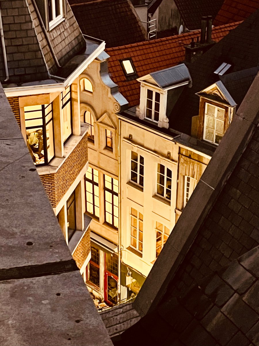 Max Aremia tweet media