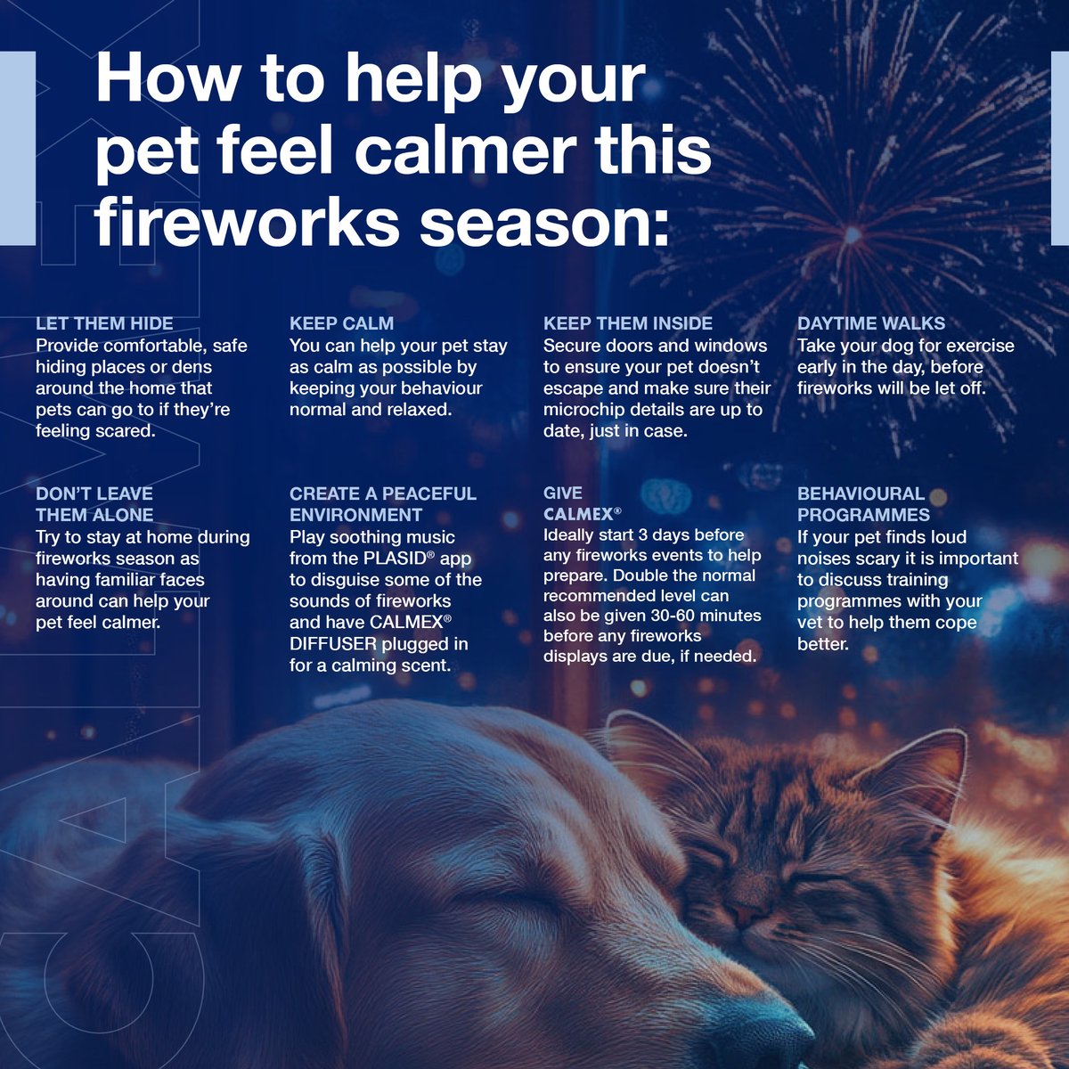 Bonfire night can be particularly stressful for dogs and cats, as they are often sensitive to loud noises and sudden bursts of light.

We've gathered a few ways to help your furry friend stay relaxed this bonfire night. 🎆