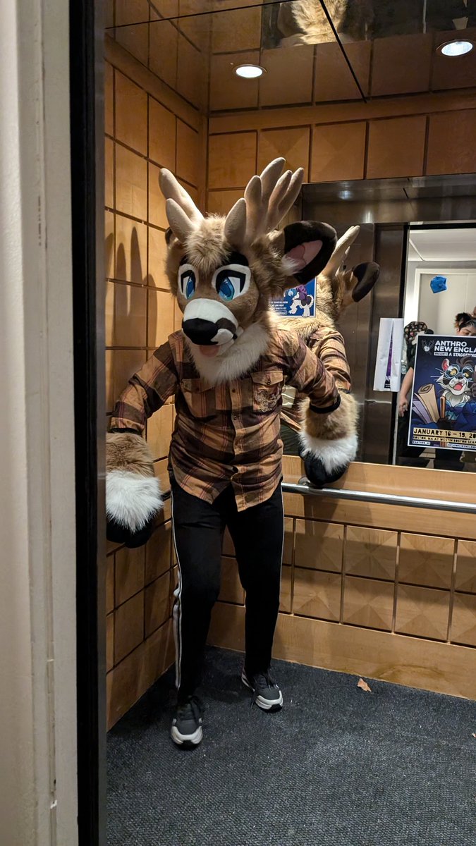 While at Furpoc... I spied with my little eye... A deer that starts with C! 

#deersighting #missing?
<a href="/Anthro_NE/">Anthro New England | #ANE2027</a> <a href="/FurpocalypseInc/">Furpocalypse</a>