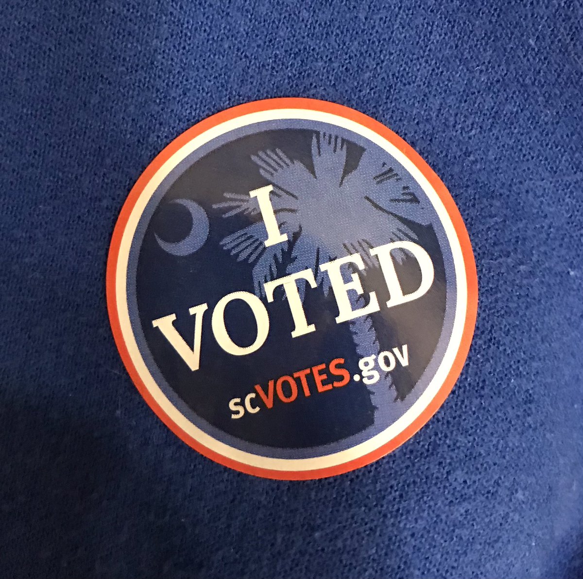 Shortie2you's tweet photo. @ScorpBliss78 Voted Blue in the Upstate! https://t.co/cKYTYnjSHA