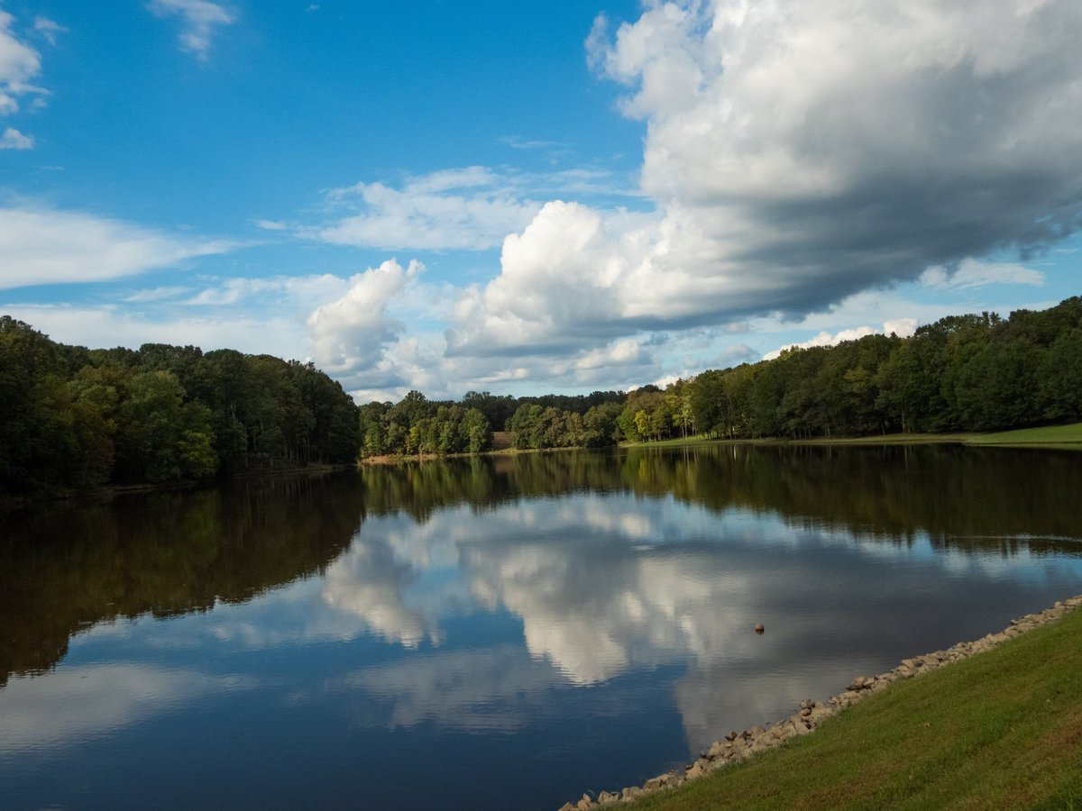 JusticeForYall2's tweet image. Don’t sit it out! Get out and vote! 
#ElectionDay #Election2024