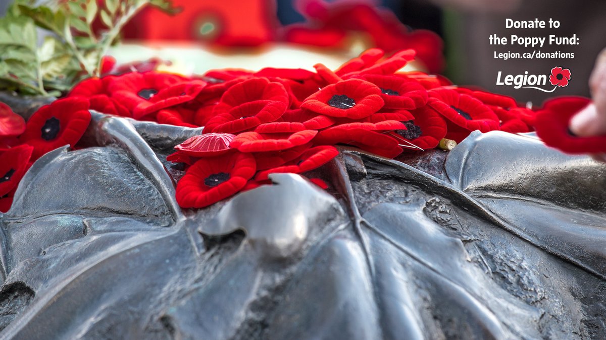 RoyalCdnLegion's tweet photo. Every November, Canadians from coast to coast honour our Veterans by wearing a #Poppy.

You can also show your support for Canada’s Veterans by donating to the Poppy Trust Fund. All of your donations ensure that the Legion can continue to do the vital work of advocating for, and supporting Canada’s Veterans and their families.

Make a donation online at: https://t.co/pKJKZAw3m2