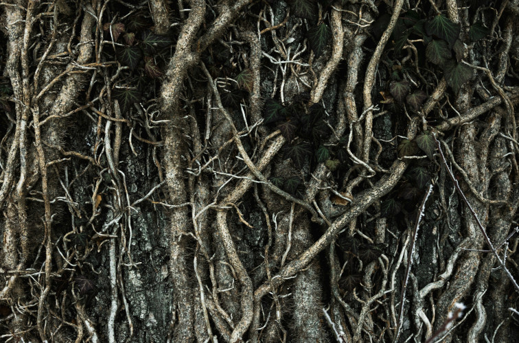 Feeling the illusion of individualism breaking dlvr.it/TG1R2t (via resilience.org)