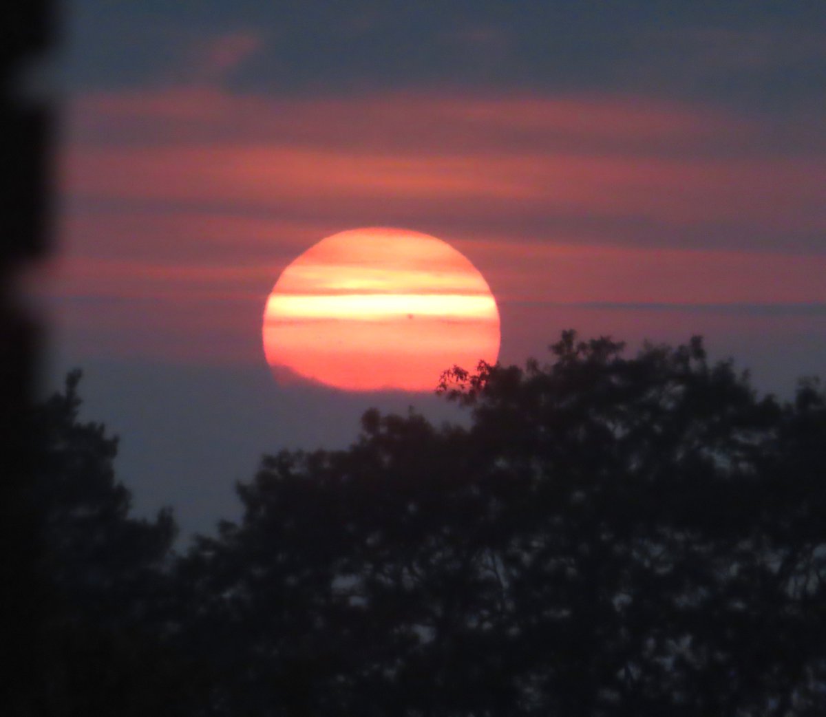 This sunset is happening now, in Battle! <a href="/bbcsoutheast/">BBC South East</a>