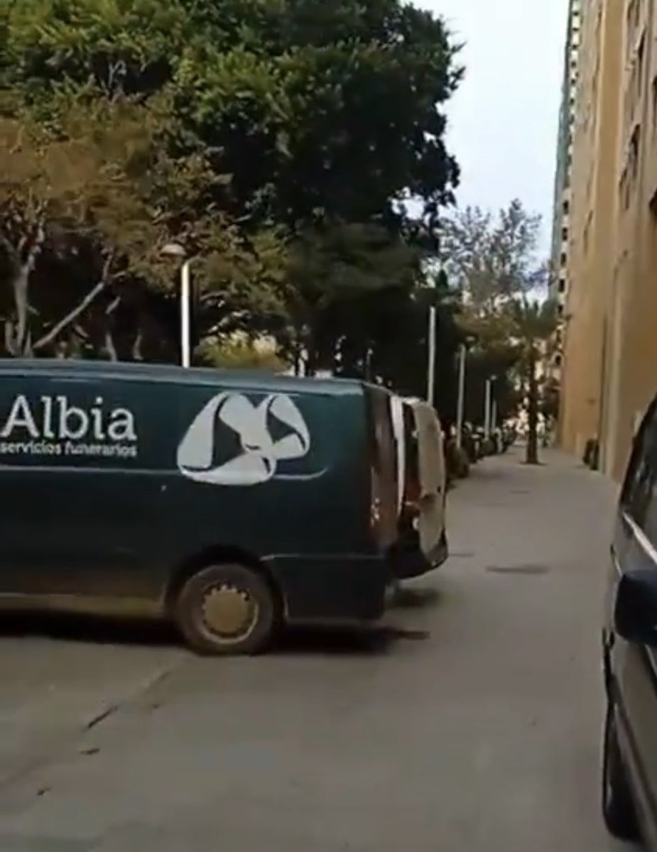 Vito Quiles 🇪🇸 tweet media