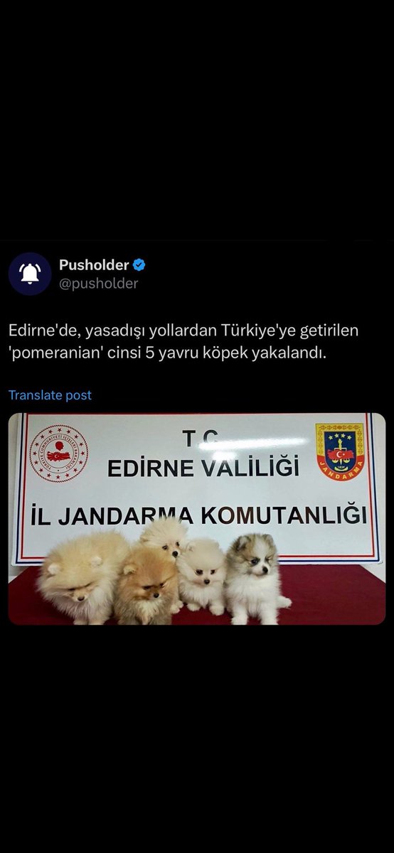 Sertac Tasdelen (@sertactasdelen) on Twitter photo 