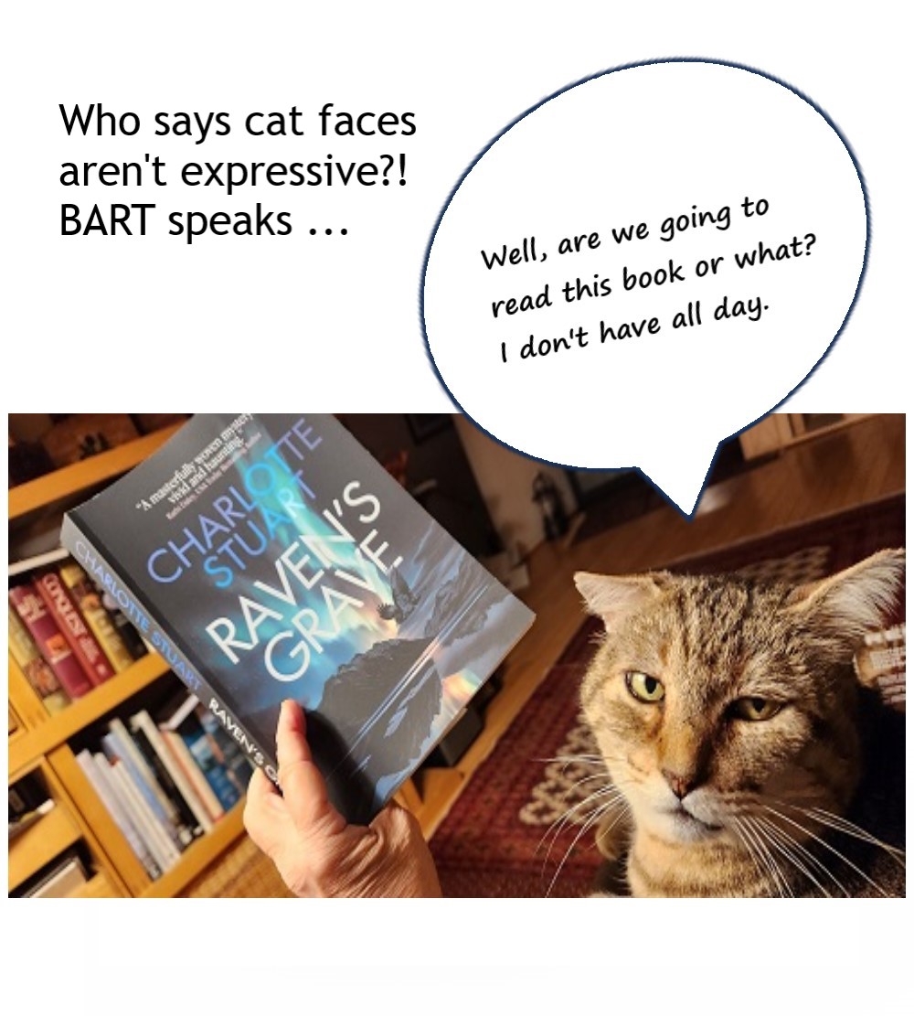 Check out this list of books from Kirkus Reviews - Raven's Grave is on it! 
kirkusreviews.com/book-lists/28-…
#Alaska #readingforpleasure #readerscommunity #bookslover #Reviews #readers