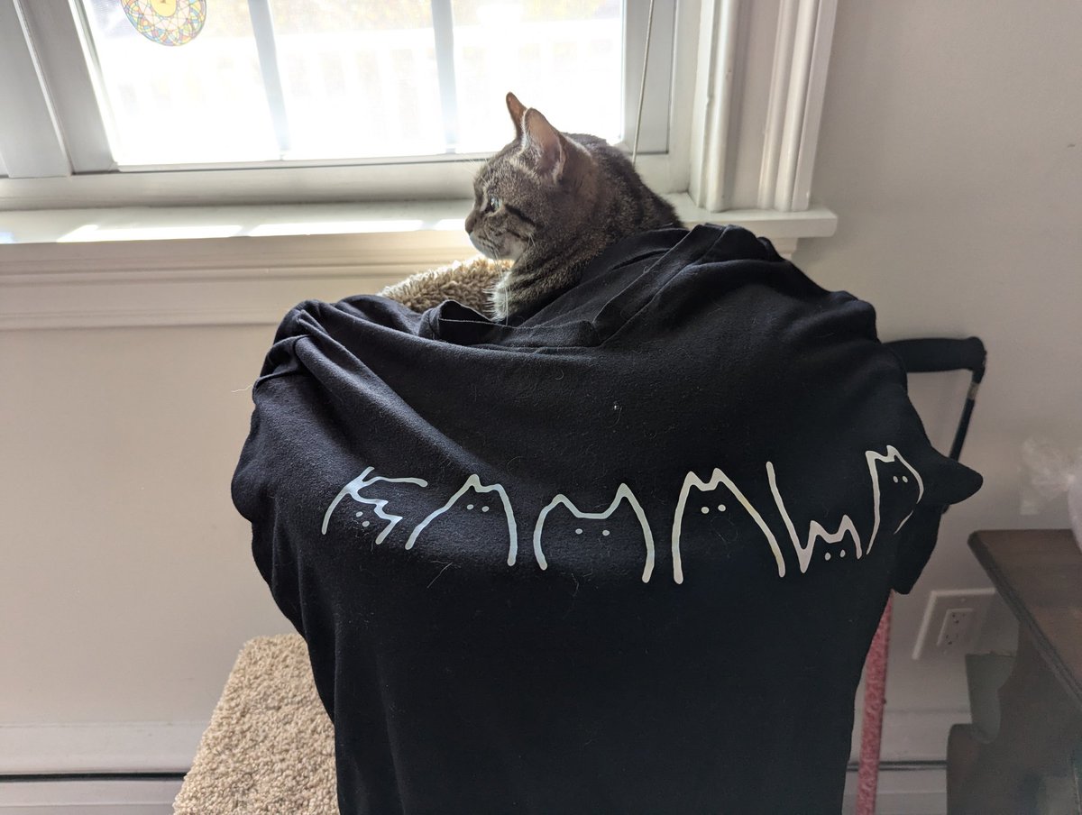 ScruffyRoses's tweet photo. @taradublinrocks I'll be wearing this! 😊😊😊 (Not the cat) https://t.co/5xVkHz0WSB