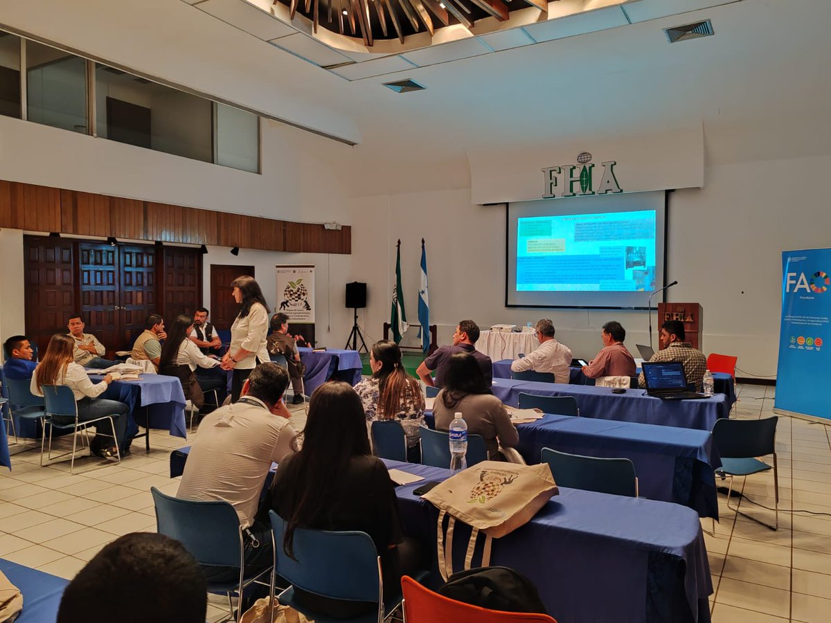 FAOHonduras's tweet photo. 📍La Lima, Cortés,
Iniciamos el "Taller de integración de metodologías de laboratorio", organizado por #FAOHN @saghonduras @dictasag y #FHIA como anfitrión. En la primera sesión, se discutió Buenas Prácticas de Laboratorio y la adaptación de #GLOSOLAN al contexto nacional. https://t.co/01CotIUtJr