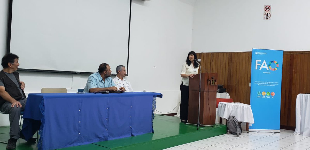 FAOHonduras's tweet photo. 📍La Lima, Cortés,
Iniciamos el "Taller de integración de metodologías de laboratorio", organizado por #FAOHN @saghonduras @dictasag y #FHIA como anfitrión. En la primera sesión, se discutió Buenas Prácticas de Laboratorio y la adaptación de #GLOSOLAN al contexto nacional. https://t.co/01CotIUtJr