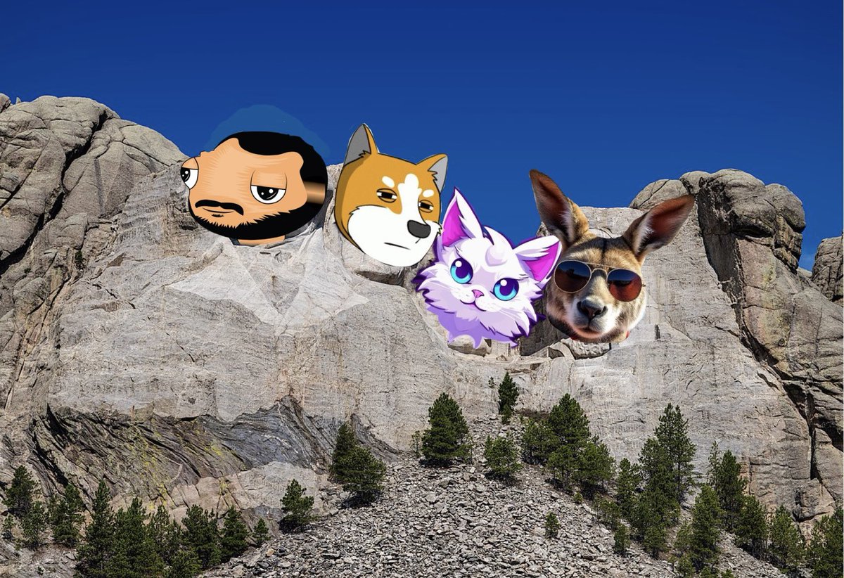 MOONEEB 🌕🌕 tweet media