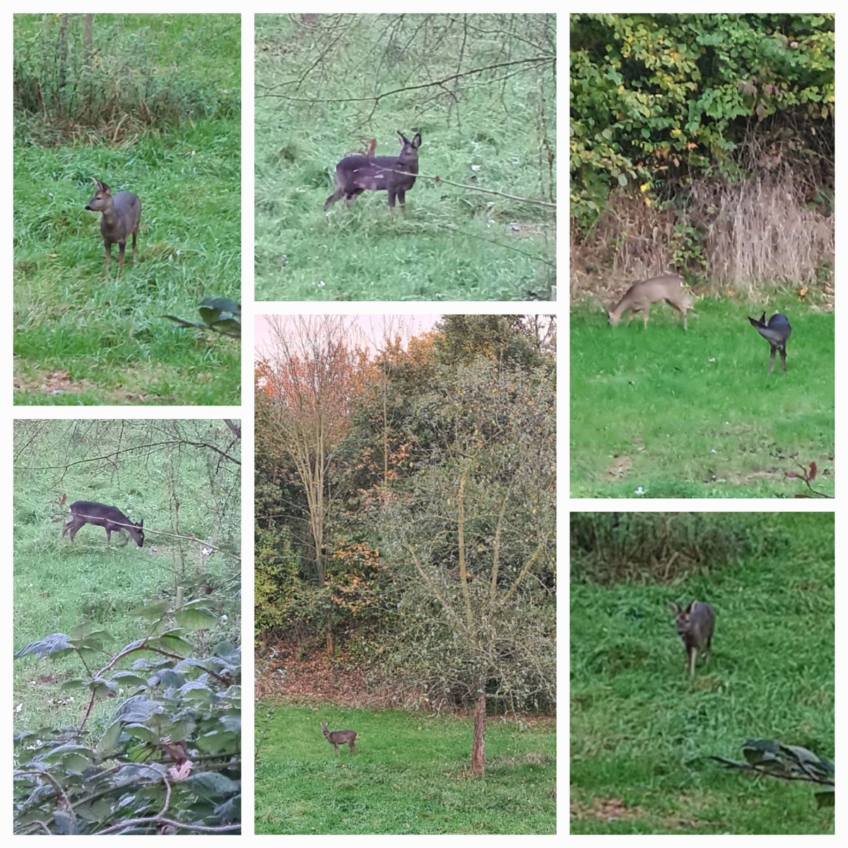 Begegnungen auf der Abendrunde