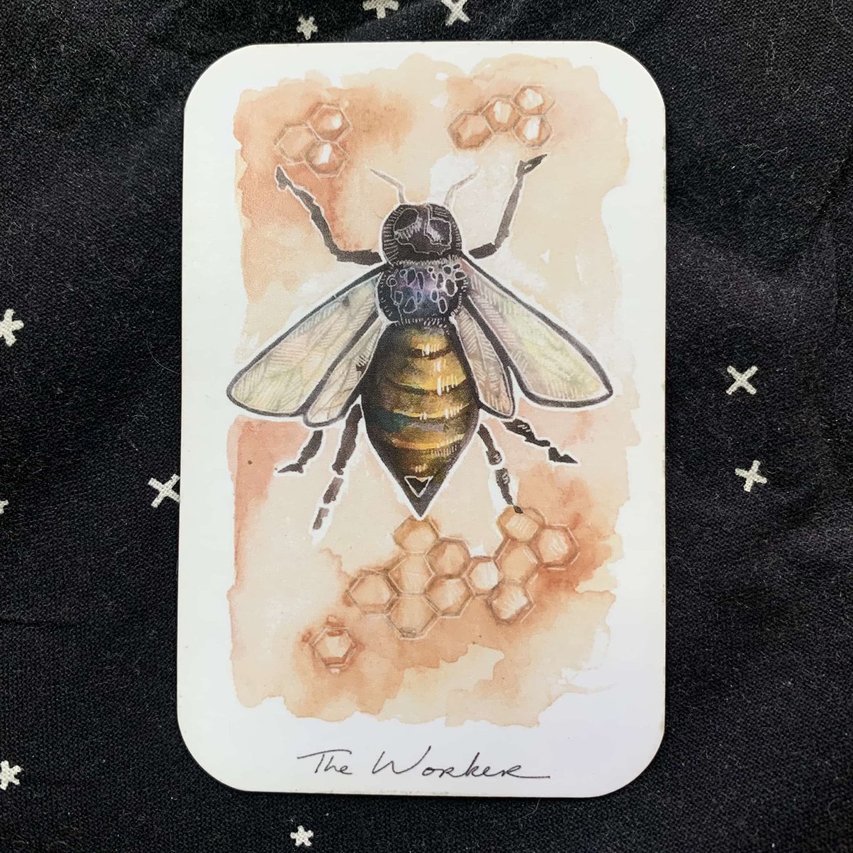 TarotByGraham's tweet image. Card of the Day: The Worker
Consider the power of getting together with others to achieve something greater than the sum of its parts. Seek out communities and opportunities to work with others.
#tarotbygraham #tarot #oraclereading #rootsandwingsoracledeck #cardoftheday