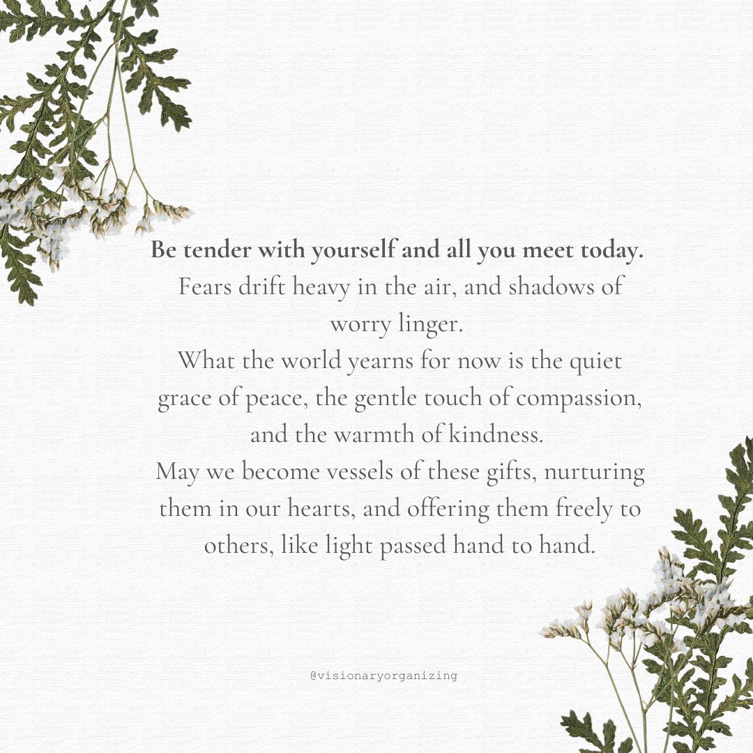 Visionary Organizing Lab tweet media