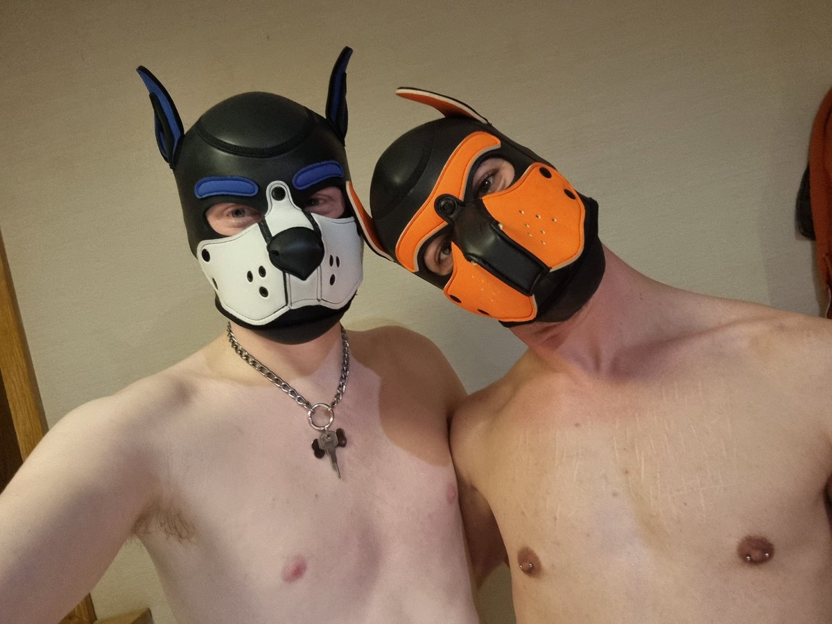 Doggy weekend is sadly over for now, but I had so much fun during 😊 Thanks to all the crazy dogs I met and vibes with.

(🐶 - <a href="/MrYorvik/">MrYorvik- 🏳️‍🌈🏴󠁧󠁢󠁥󠁮󠁧󠁿</a> <a href="/PupperNero/">Nero ✨🐶</a> <a href="/PupNimo/">Pup Nimo ✨</a> <a href="/SollosAveril/">Sollos Averil</a> <a href="/GoodBoiJun/">✨Jun✨ 🔞</a> <a href="/JamesOakleigh_X/">James Oakleigh 🔜 🤷🏼‍♂️</a> <a href="/UKBikerPup/">Pup Schnapp</a> <a href="/Pup_TayTay/">Pup TayTay 💖</a>) and others!