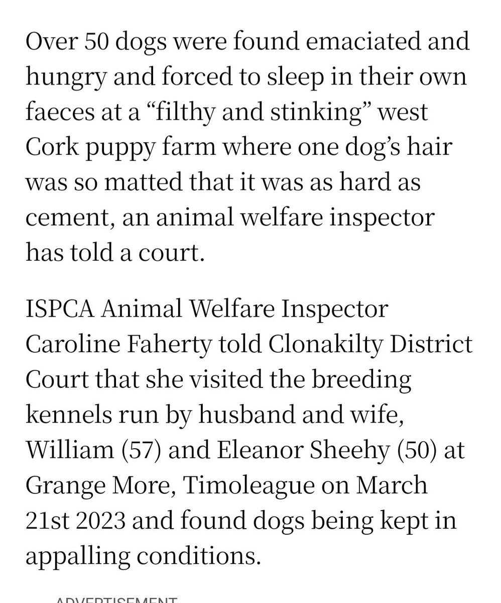 Stop #buyingpuppies -here are breeders #thesheehys from #Cork, a farmer &amp; a nurse. Their breeding dogs ARE EMACIATED, faeces with mould on it &amp; they ARE using them as breeding machines.Of course the buyer never sees inside these sheds.Just #stop paying for animals to suffer.