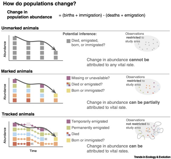 Online now: Tracking individual animals can reveal the mechanisms of species loss dlvr.it/TG1S8j