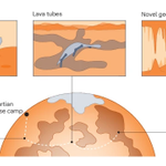 Photo by NatRevMaterials (@NatRevMater)