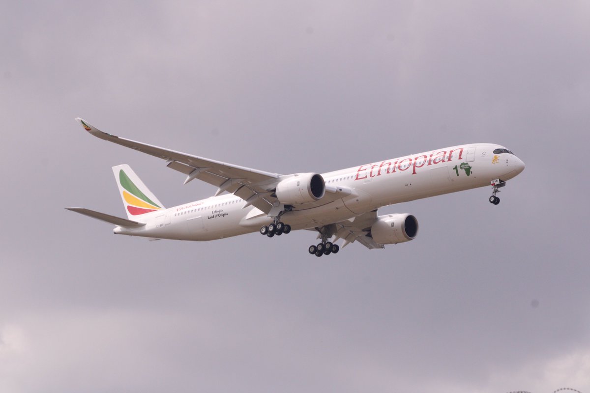 danielaregay's tweet photo. @flyethiopian @Airbus https://t.co/XCxEr0o9Eh