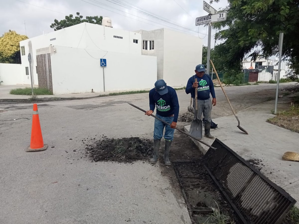 Nuestros compañeros de Drenaje están trabajando en todo el municipio 🦺👷🏻‍ en la limpieza de zanjas y pozos, para asegurar que el agua fluya libremente y evitar inundaciones durante las lluvias. 🌧 #MéridaContigoEsMejor

<a href="/CeciliaPatronL/">Cecilia Patrón Laviada</a> <a href="/AyuntaMerida/">Ayuntamiento Mérida</a>
