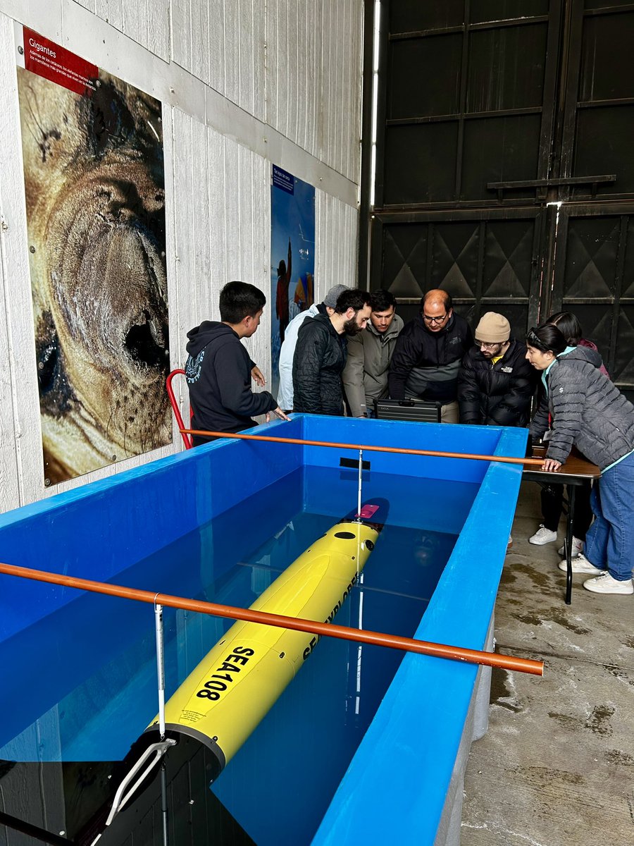 Francisco Santa Cruz tweet media