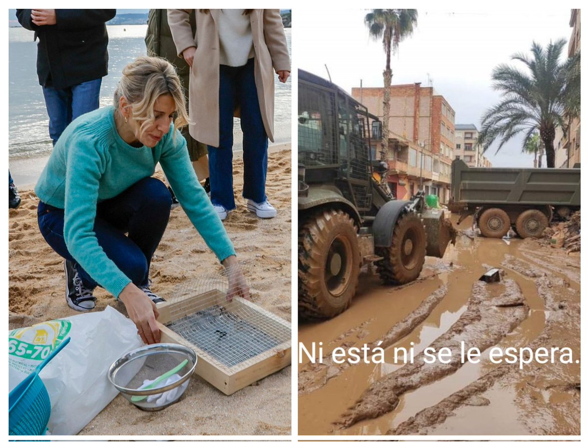 La vicepresidenta recogiendo pellets Vs La vicepresidenta quitando barro.