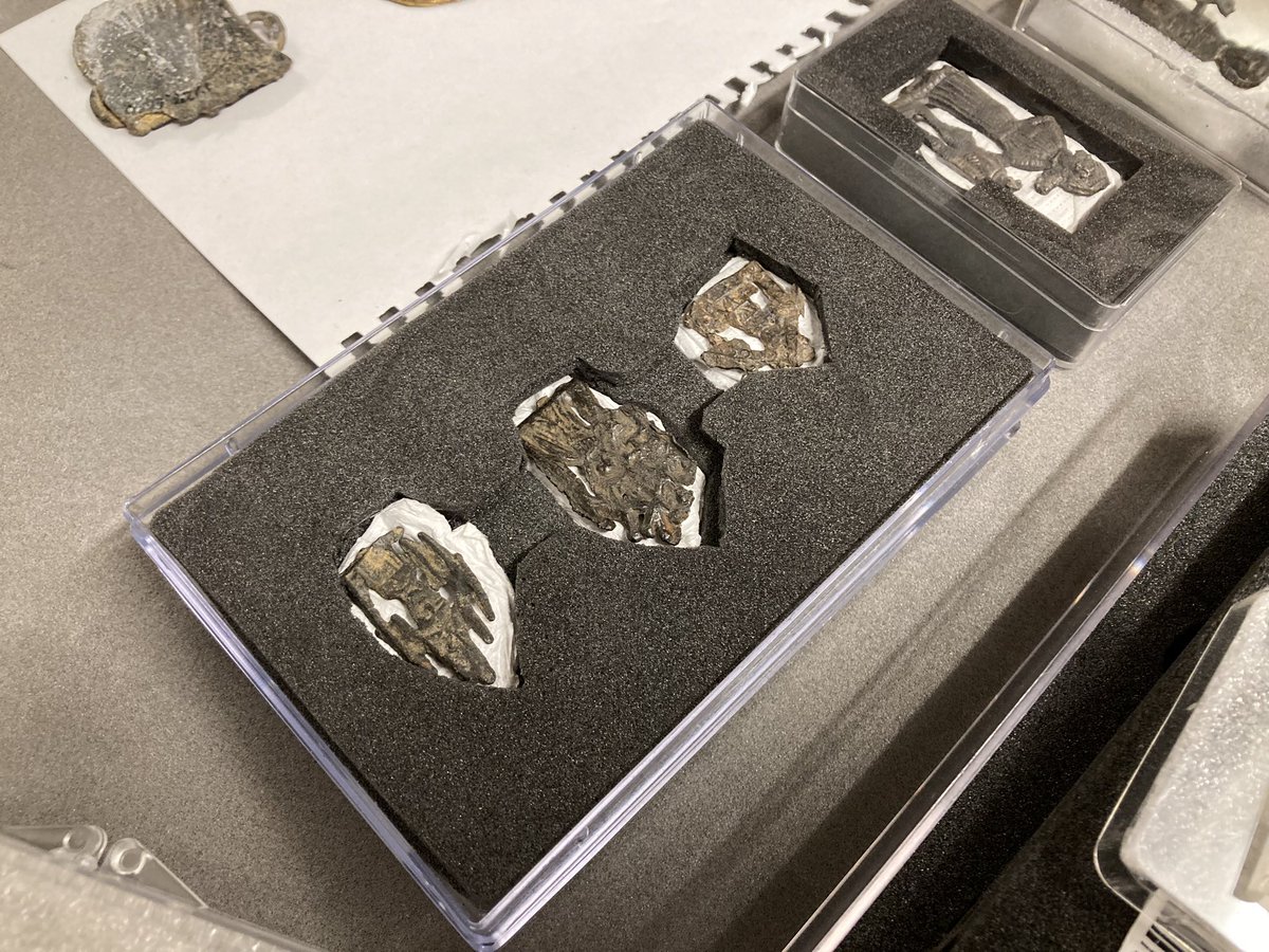 Dr Laura Varnam tweet media