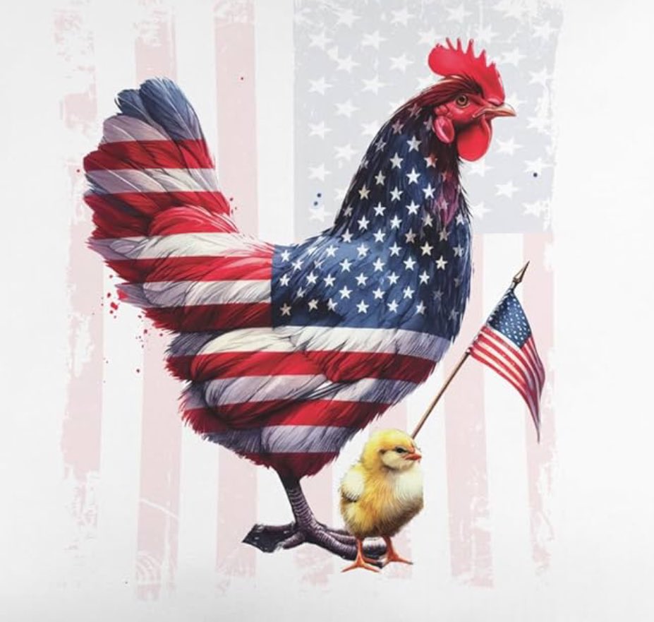 Nicole_Graham84's tweet photo. Happy Election Day 🇺🇸 #chickens #electionday https://t.co/Tlhzqf4rWl