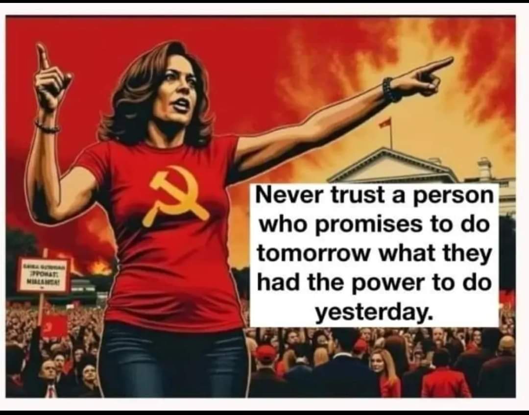 repomon's tweet image. 