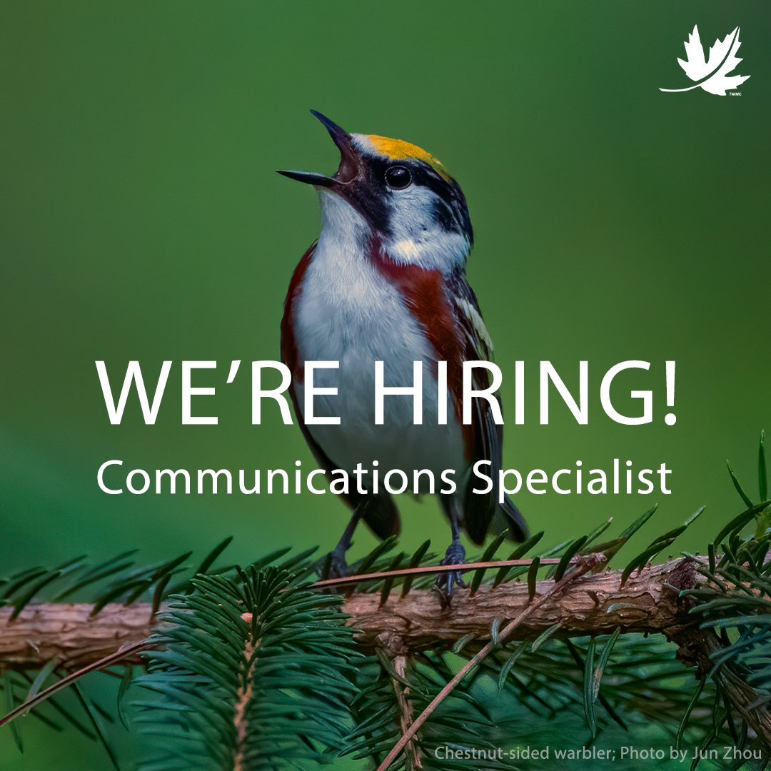 Ready to turn your passion for nature into a career? We're looking for a Communications Specialist to join our team. Apply today and contribute to the future of conservation! ➡️ brnw.ch/21wOorV #NatureCareers #JobOpportunity