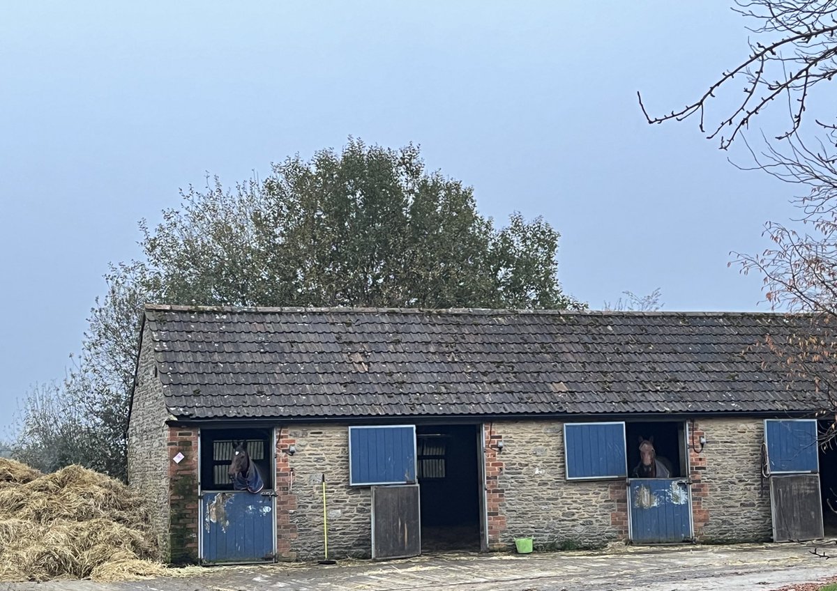 Joanna Foster tweet media