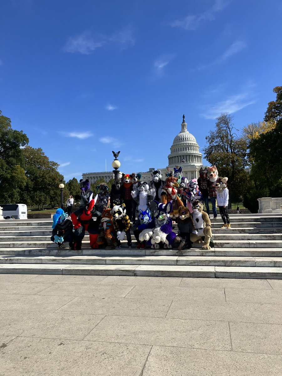 no context furry (@furrynocontext) on Twitter photo #vote #vote