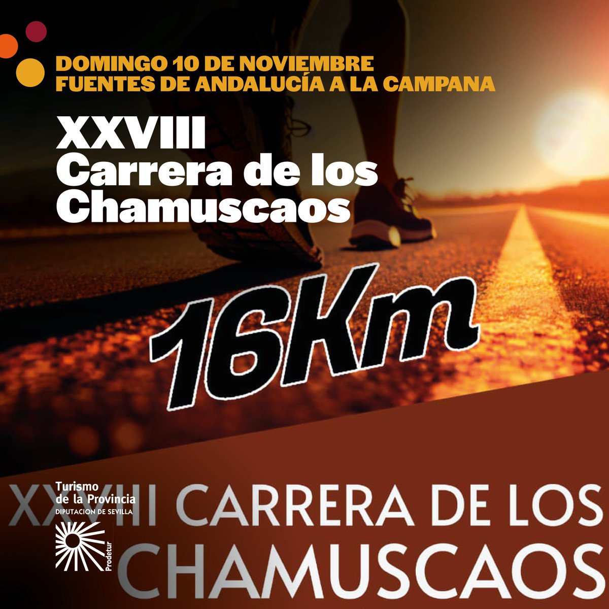 Turismo Provincia Sevilla (@sevilla_turismo) on Twitter photo Eventos deportivos, provincia de Sevilla.
Domingo 10 noviembre:
🔸Media Maratón Tierra y Olivo, Dos Hermanas
turismosevilla.org/es/eventos-y-f…
🔸Carrera de los Chamuscaos, Fuentes de Andalucía-La Campana
turismosevilla.org/es/eventos-y-f…
<a href="/DIPUSEVI/">Diputación de Sevilla</a> <a href="/AytoFuentesdeA/">Ayto Fuentes de A.</a> <a href="/LaAyuntamiento/">Ayuntamiento de La Campana</a> <a href="/aytodoshermanas/">Ayuntamiento de Dos Hermanas</a> Eventos deportivos, provincia de Sevilla.
Domingo 10 noviembre:
🔸Media Maratón Tierra y Olivo, Dos Hermanas
turismosevilla.org/es/eventos-y-f…
🔸Carrera de los Chamuscaos, Fuentes de Andalucía-La Campana
turismosevilla.org/es/eventos-y-f…
<a href="/DIPUSEVI/">Diputación de Sevilla</a> <a href="/AytoFuentesdeA/">Ayto Fuentes de A.</a> <a href="/LaAyuntamiento/">Ayuntamiento de La Campana</a> <a href="/aytodoshermanas/">Ayuntamiento de Dos Hermanas</a>
