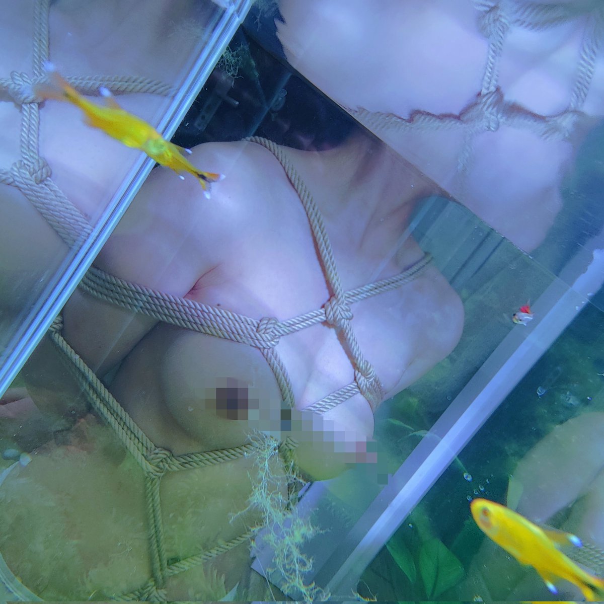 97mingming97's tweet image. 