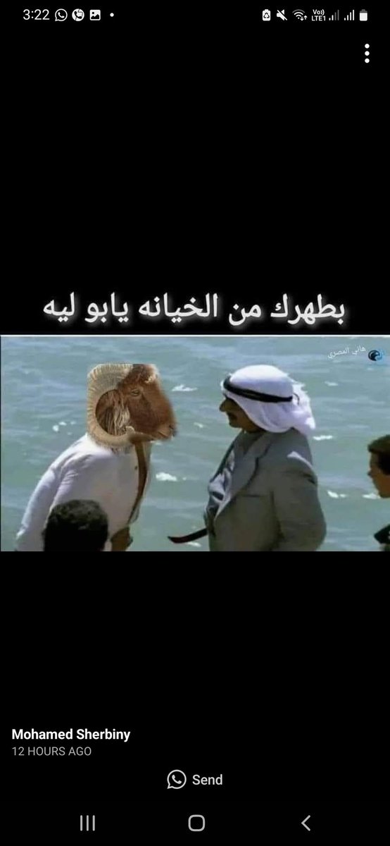 azza_taher's tweet photo. https://t.co/oSX9IkDmJ9