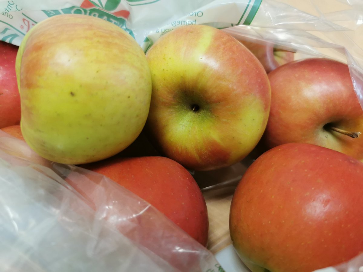 With an abundance of apples 🍎🍎🍎🍎 <a href="/qesarnia/">@QESarnia</a> , we made fresh  applesauce! <a href="/lkdsb/">Lambton Kent DSB</a> #zerowaste #beresourceful #powerfullkids <a href="/OSNPLambton/">OSNP-Lambton</a> <a href="/PC_Charity/">PC Children's Charity</a>