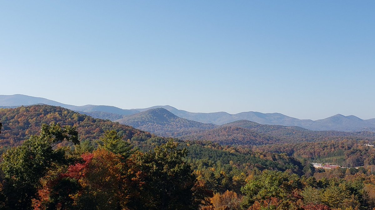 🍢Clint🍢Fandango🍢 tweet media