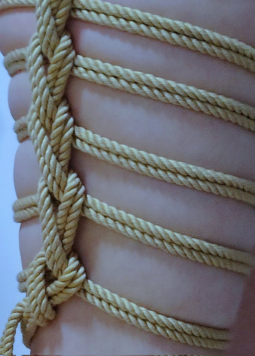 97mingming97's tweet image. 