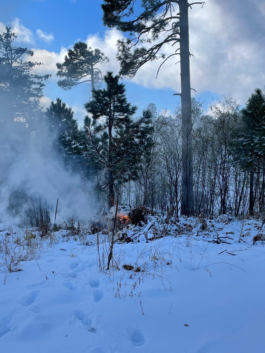 CoronadoNF's tweet photo. Approx 60 acres of piles were completed on Nov 4th. Conditions for today are favorable to continue &amp; ignitions began at 9:30am. Visitors will see smoke throughout the upper Sabino Canyon area for the duration of the week. https://t.co/DCzBLfH59i