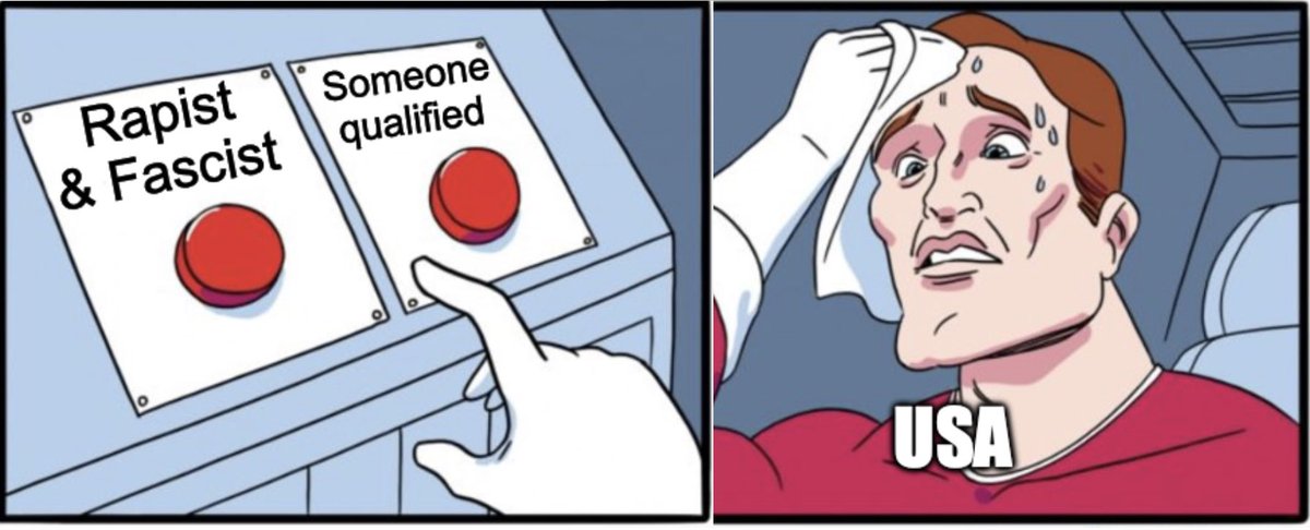This is what the #USAElections2024 feels like: