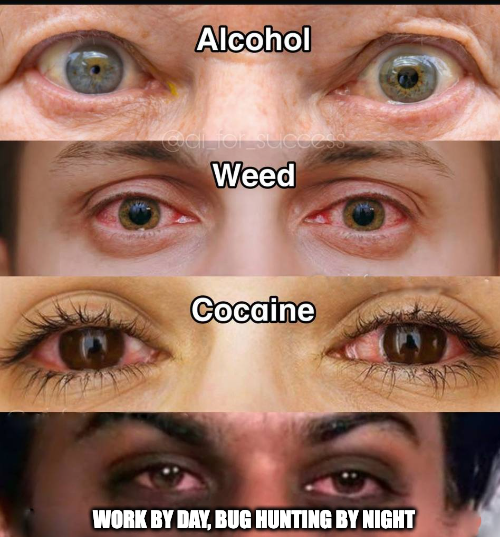 HackenProof's tweet image. 