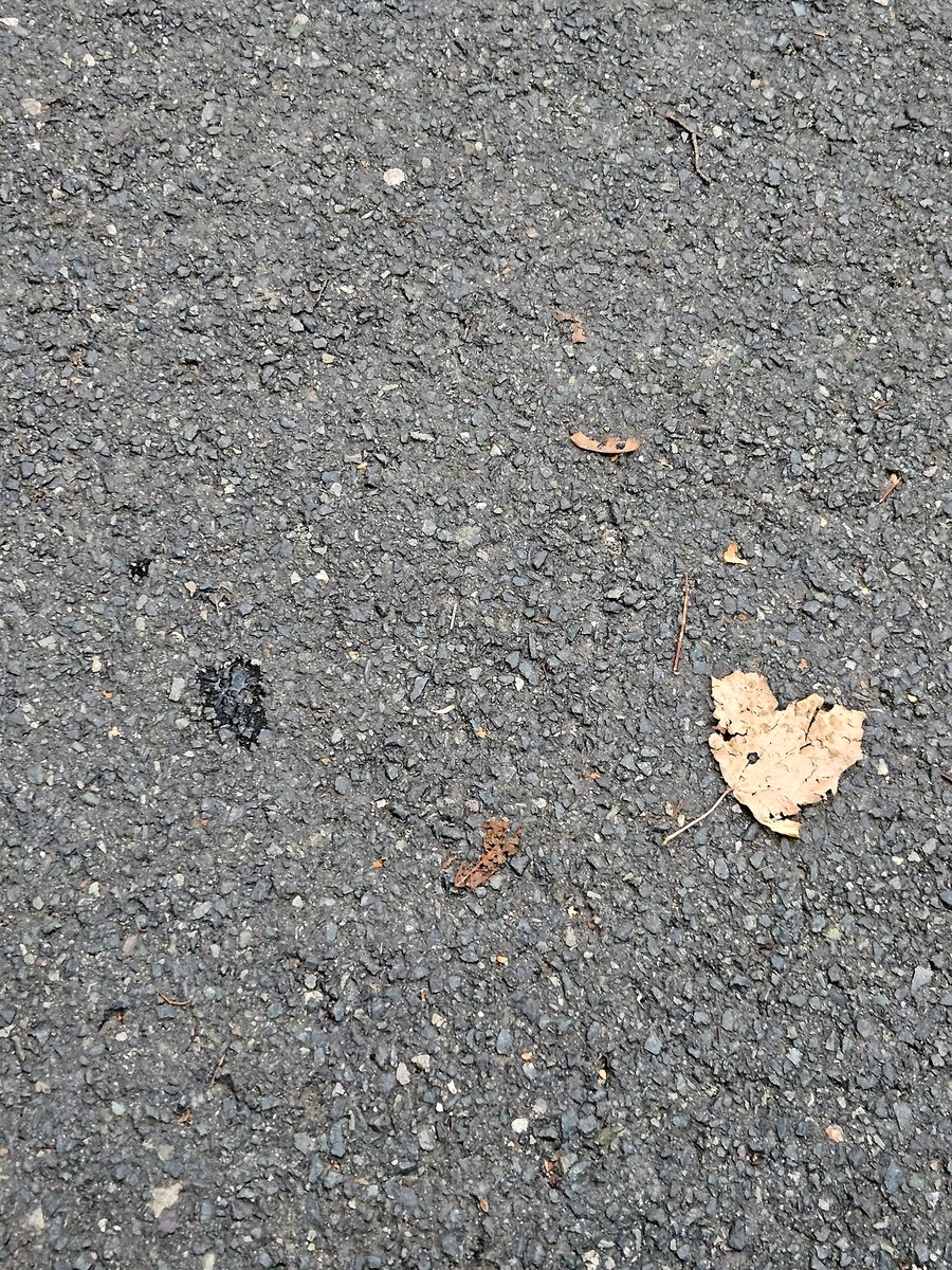 Two hearts
<a href="/tusenoch/">karen</a>