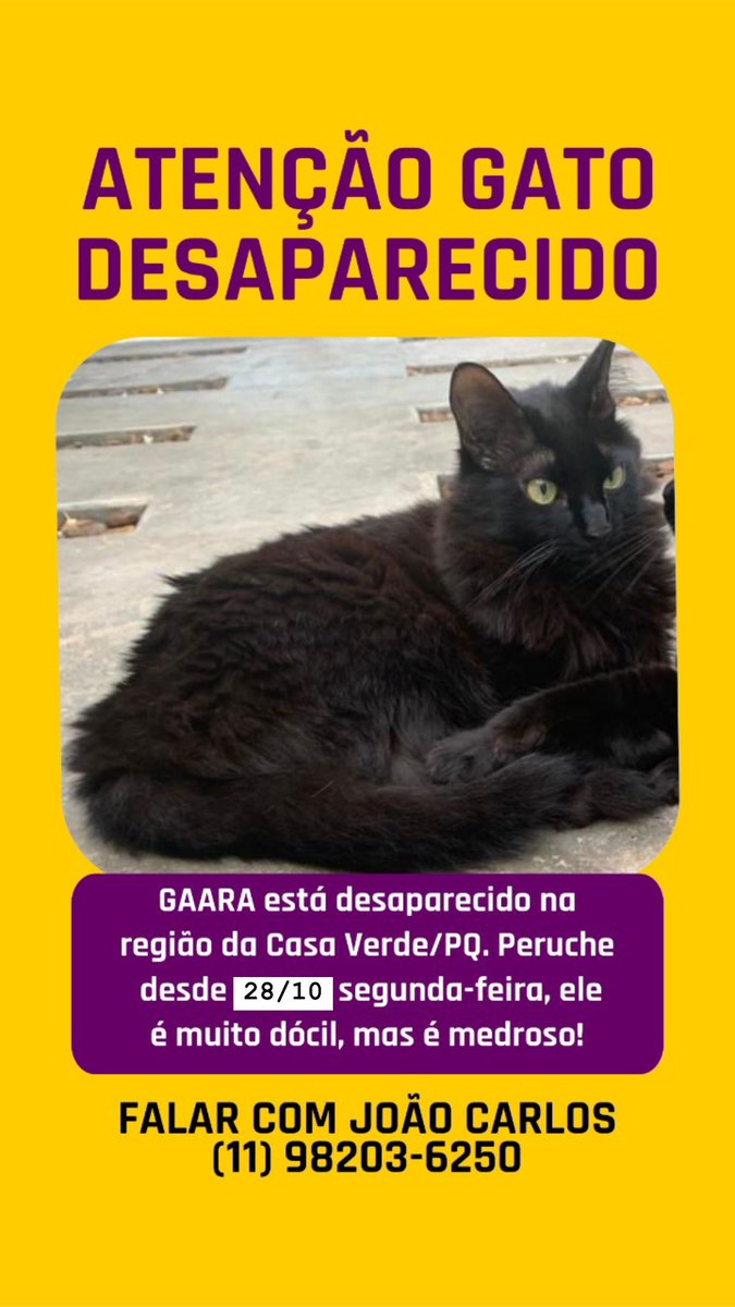 jc_ambra's tweet photo. Divulguem por favor! 🙏🏼 https://t.co/FOjHrUrSXL