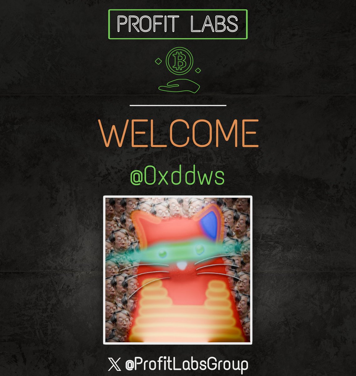 DdWs5 tweet media