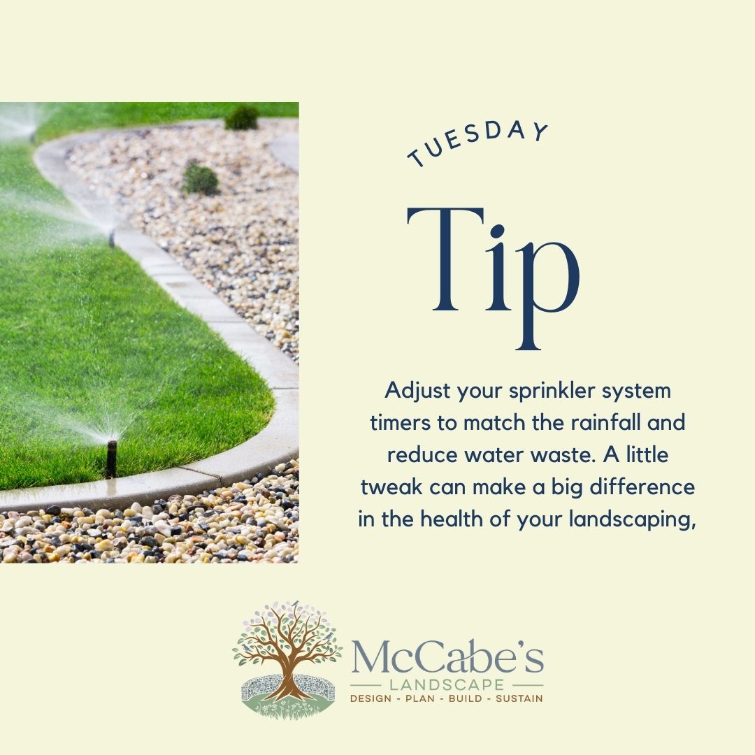 McCabeLandscape's tweet image. 🍂 Fall is here, and with it comes changing weather patterns. 🌧️ Check out our tip to help you and your landscape navigate these changes.  Save and share this post to help your neighbors too!  #LandscapeTips #WeatherChanges #OutdoorLiving #HomeLandscaping