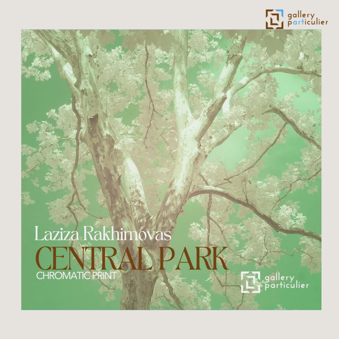 Presenting Central Park by Laziza Rakhimova – a mesmerizing chromatic print that breathes life into New York City's iconic park.

#LazizaRakhimova #CentralPark #ChromaticPrint #ContemporaryArt #GalleryParticulier <a href="/arabellavonarx/">Arabella von Arx</a> @freemanworks_